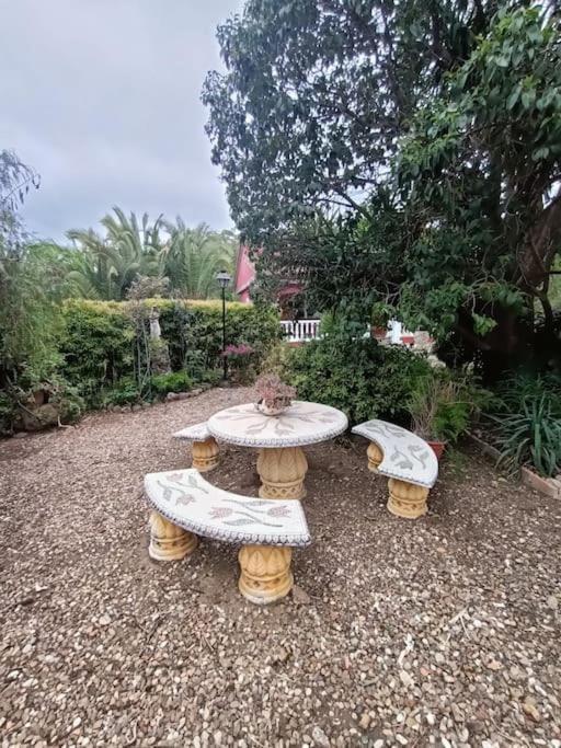 Casa Rural En El Campo Con Animales, Piscina Y Barbacoa Almodóvar del Río 외부 사진