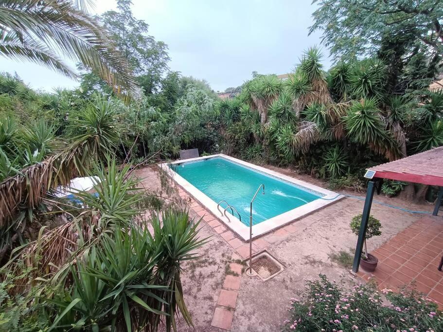 Casa Rural En El Campo Con Animales, Piscina Y Barbacoa Almodóvar del Río 외부 사진