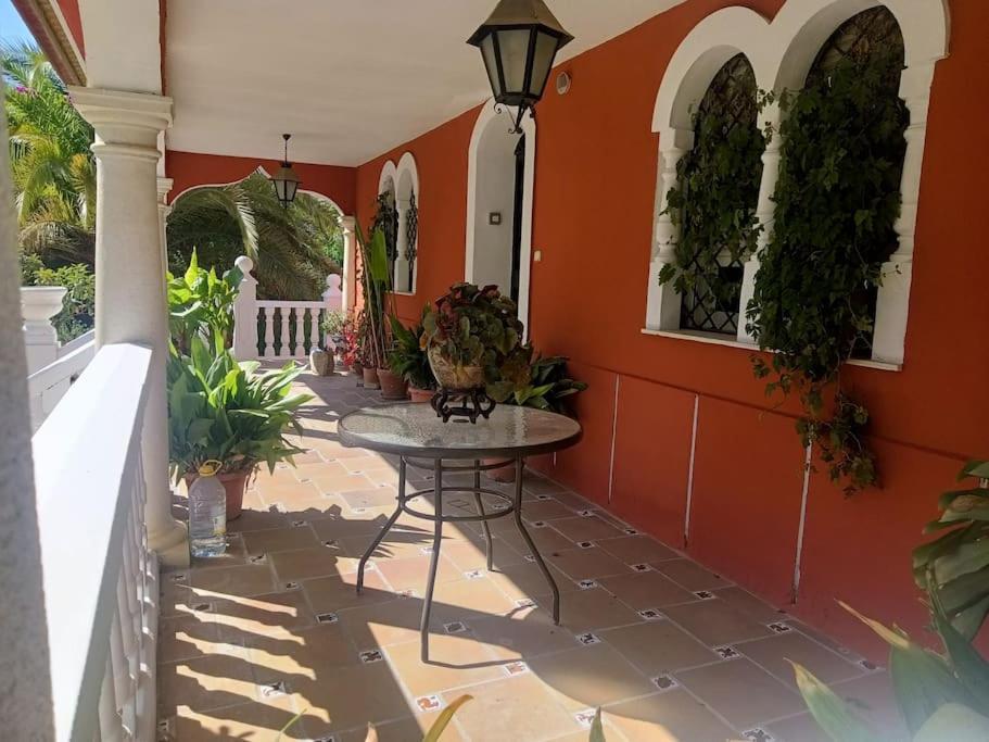Casa Rural En El Campo Con Animales, Piscina Y Barbacoa Almodóvar del Río 외부 사진