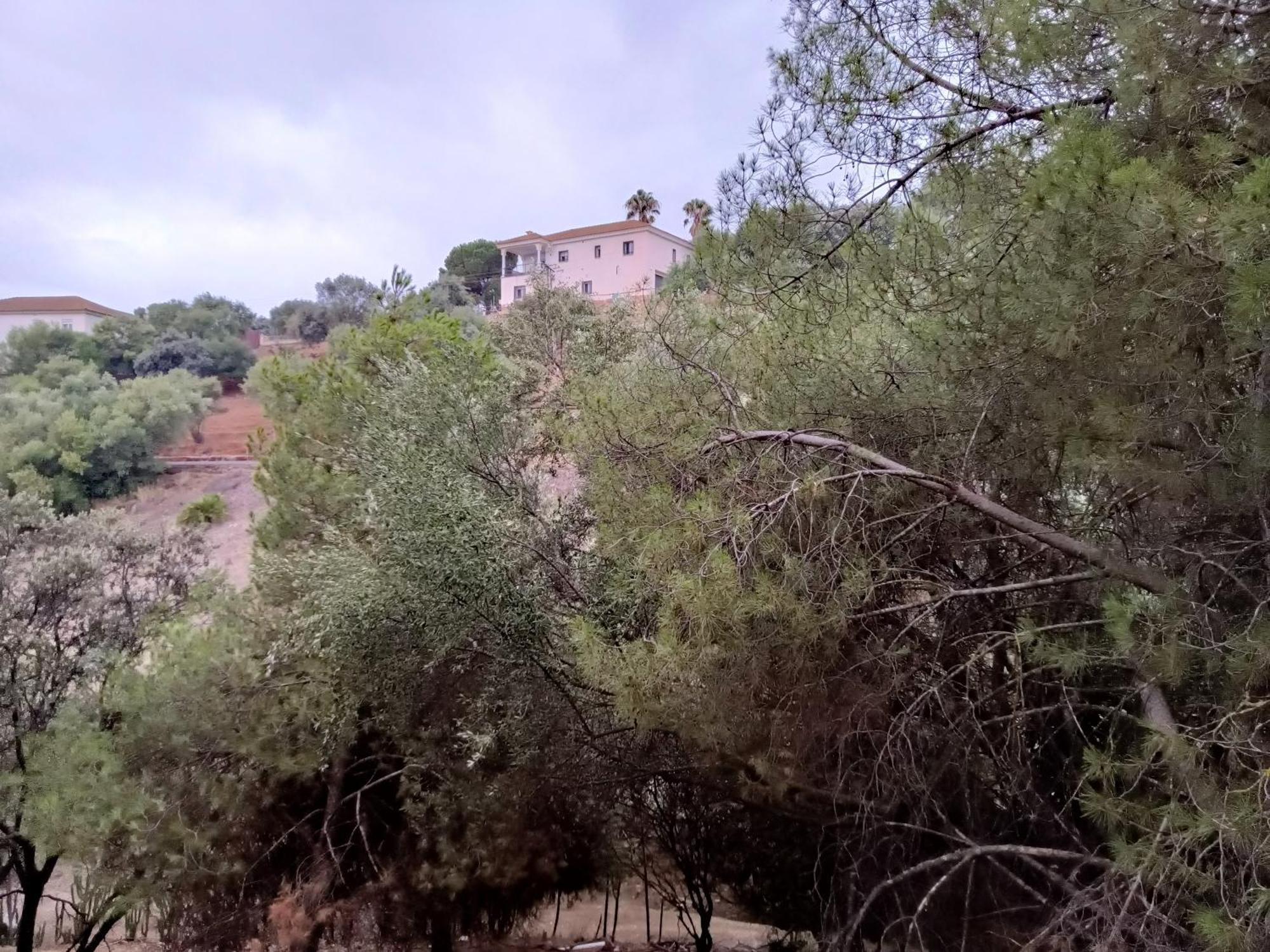 Casa Rural En El Campo Con Animales, Piscina Y Barbacoa Almodóvar del Río 외부 사진