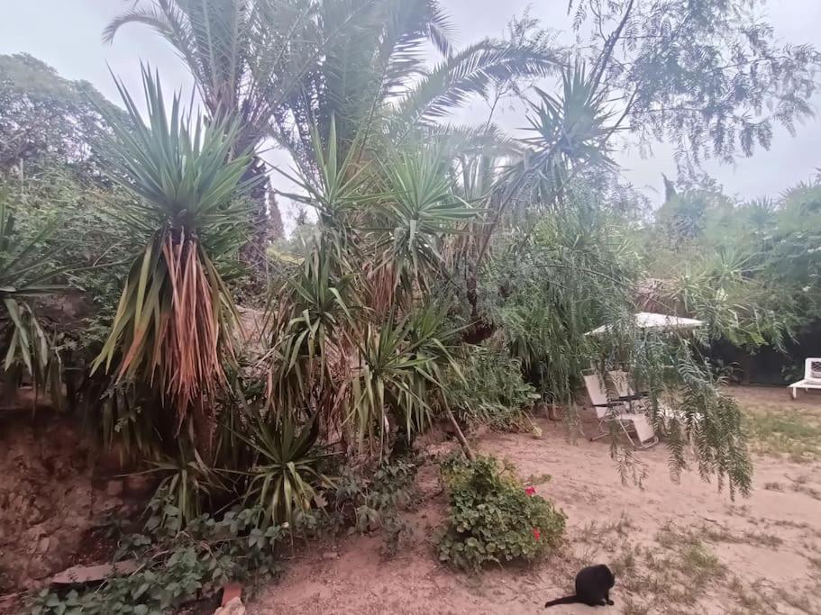 Casa Rural En El Campo Con Animales, Piscina Y Barbacoa Almodóvar del Río 외부 사진