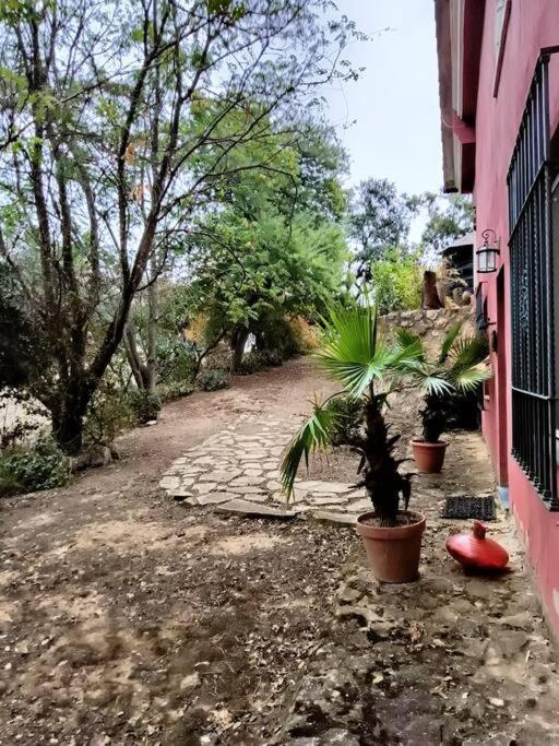 Casa Rural En El Campo Con Animales, Piscina Y Barbacoa Almodóvar del Río 외부 사진